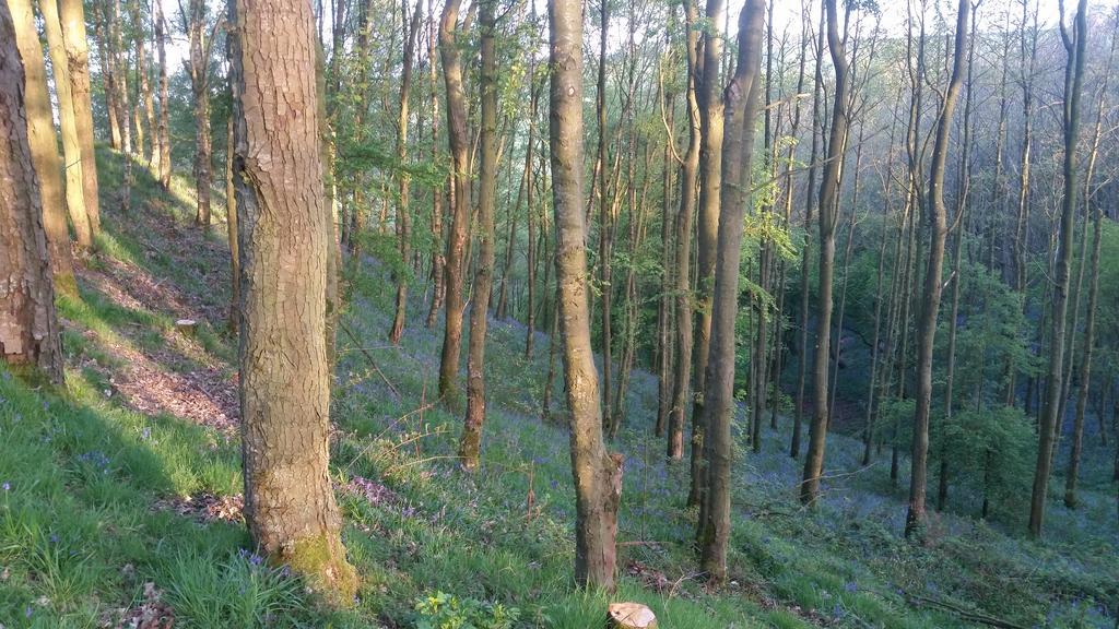 Low Nook Farm Holiday Cottage Brampton  Bagian luar foto