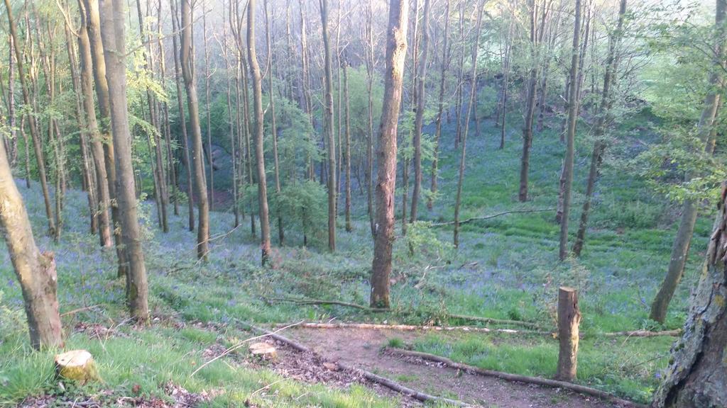 Low Nook Farm Holiday Cottage Brampton  Bagian luar foto